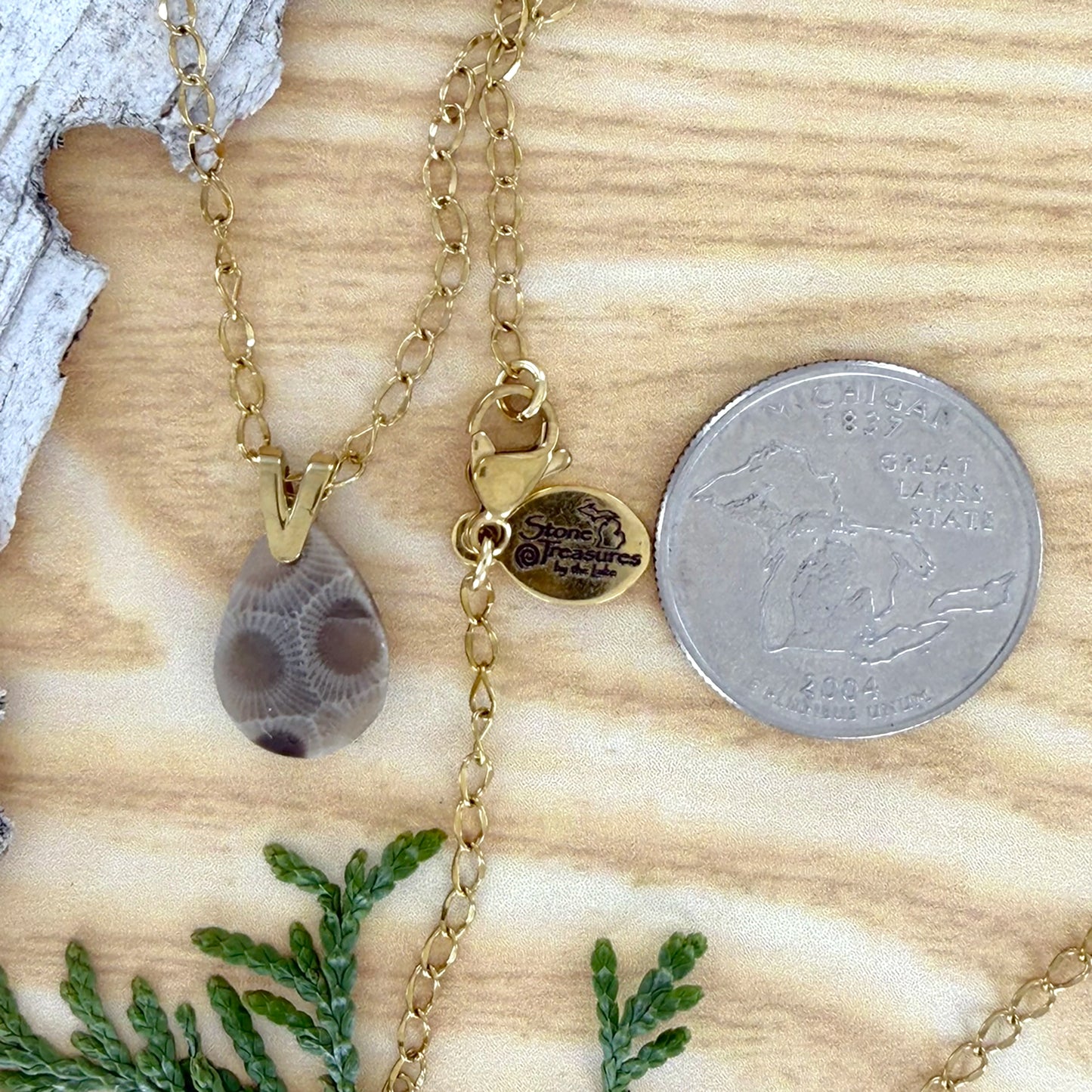 Petoskey Stone Pendant Necklace - Stone Treasures by the Lake