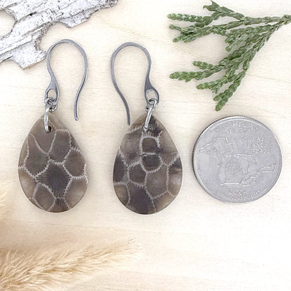 Petoskey Stone Earrings - Stone Treasures by the Lake