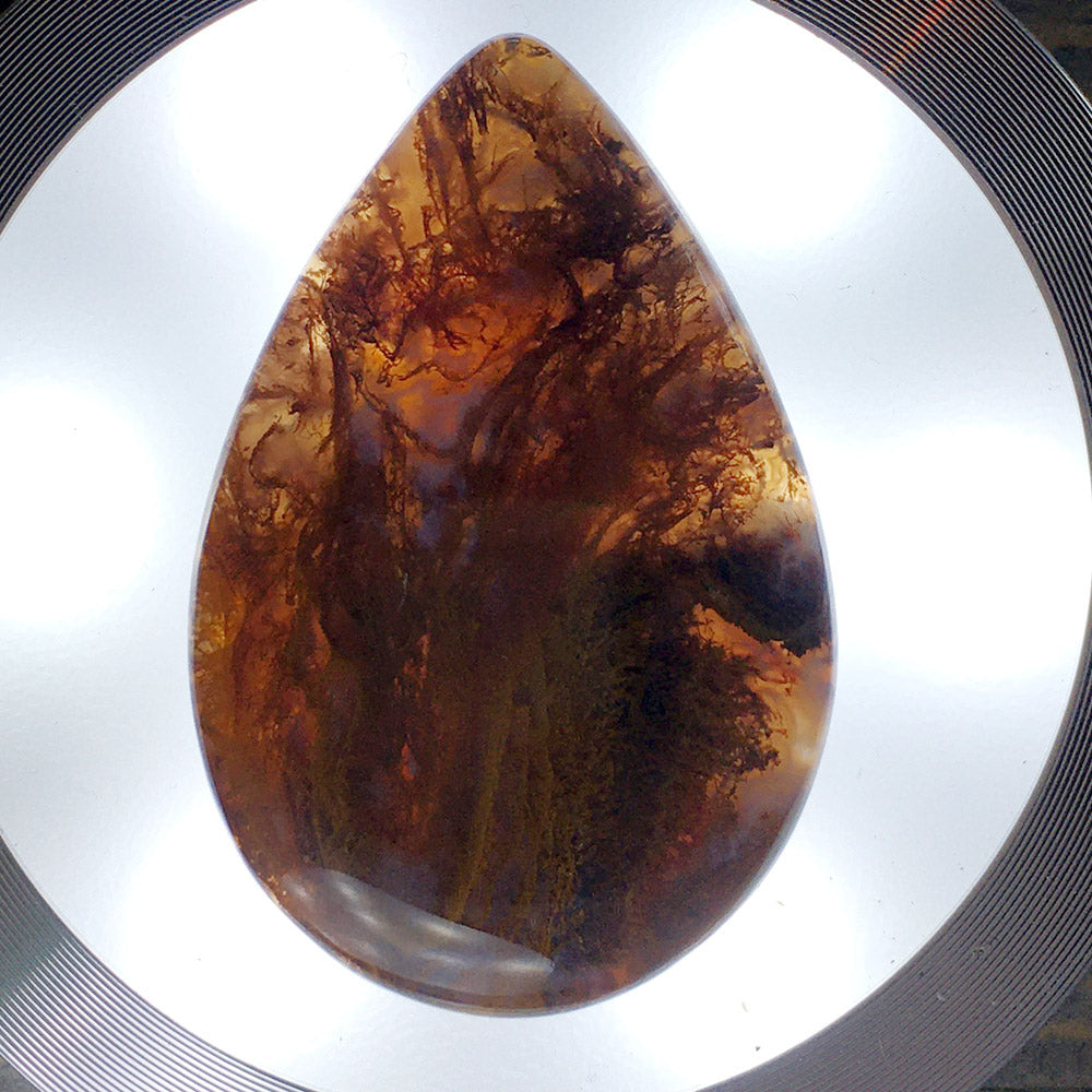 Maury Mountain Agate Cabochon Front View III - Stone Treasures by the Lake