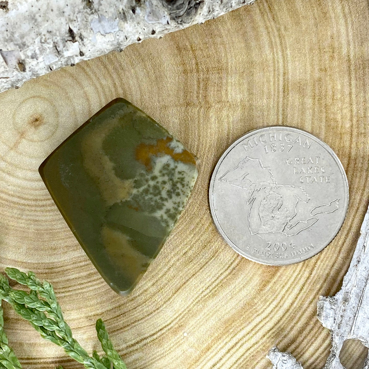 Owyhee Picture Jasper Cabochon Back View - Stone Treasures by the Lake