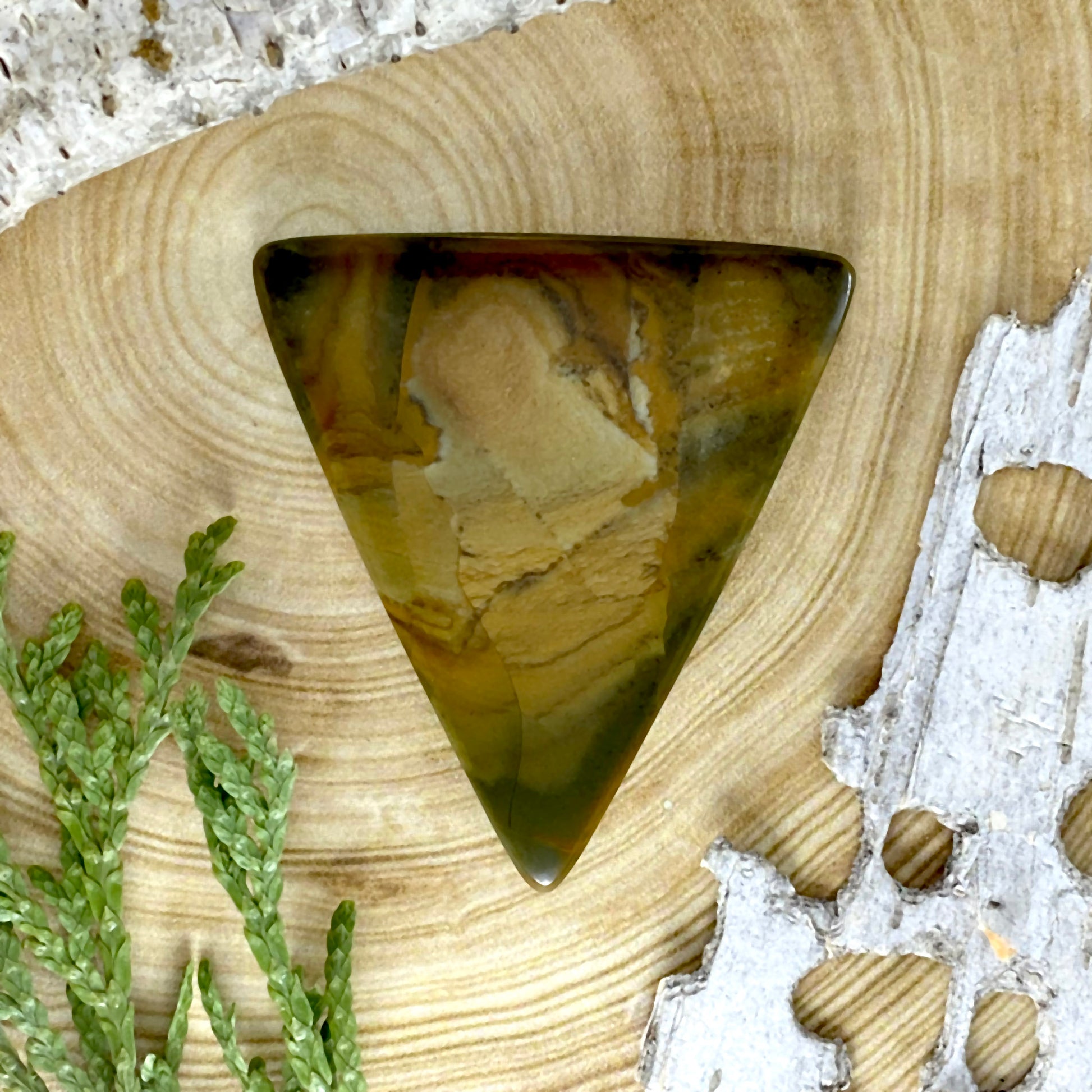Owyhee Picture Jasper Cabochon Front View - Stone Treasures by the Lake