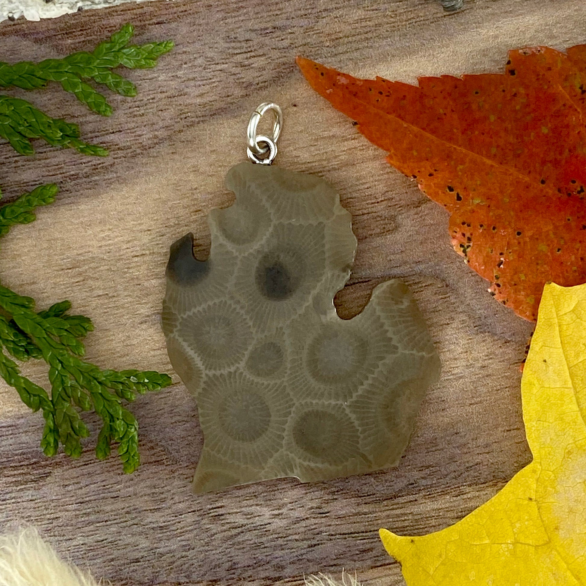 Michigan Shaped Petoskey Stone Pendant Front View - Stone Treasures by the Lake
