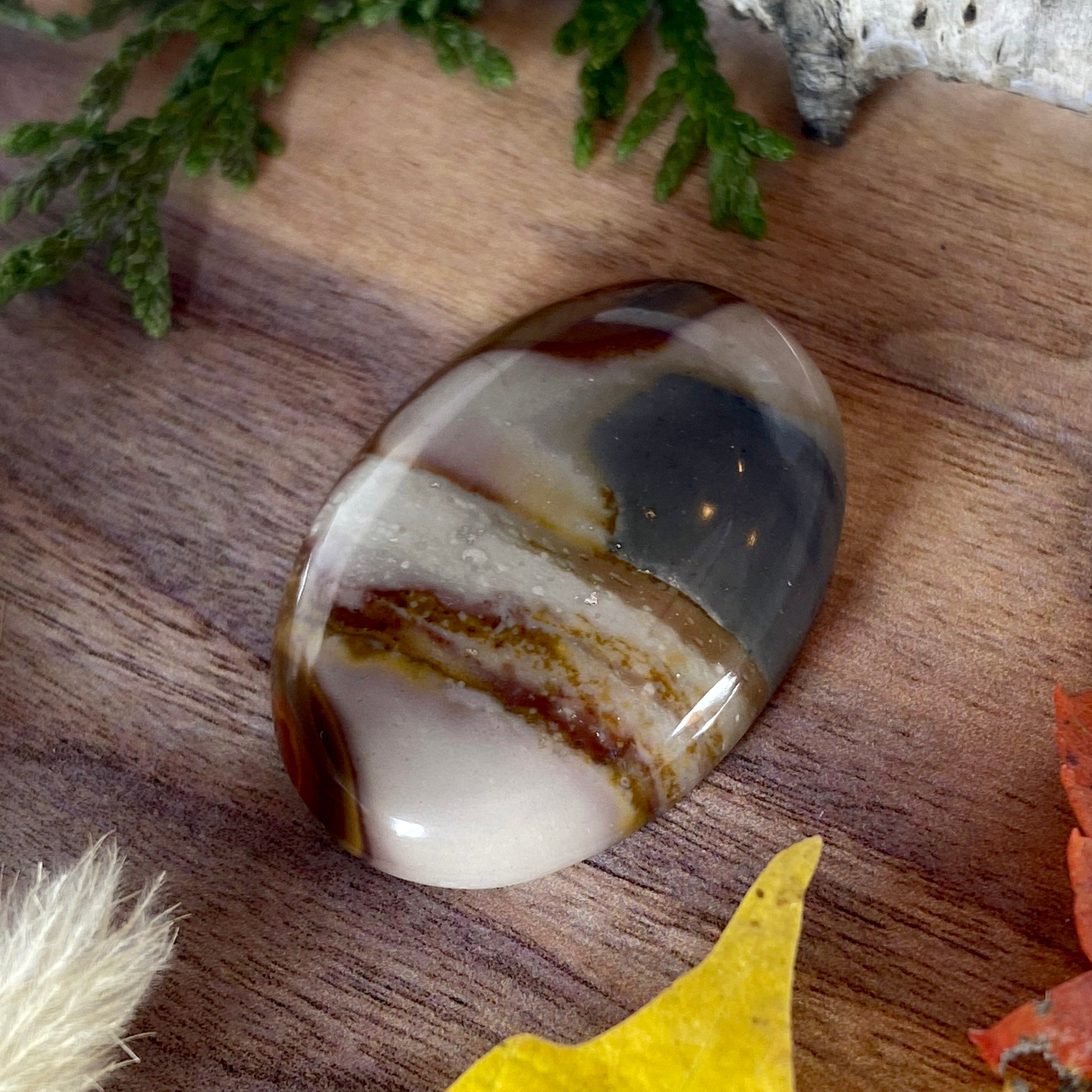 Polychrome Jasper Cabochon Front View III - Stone Treasures by the Lake