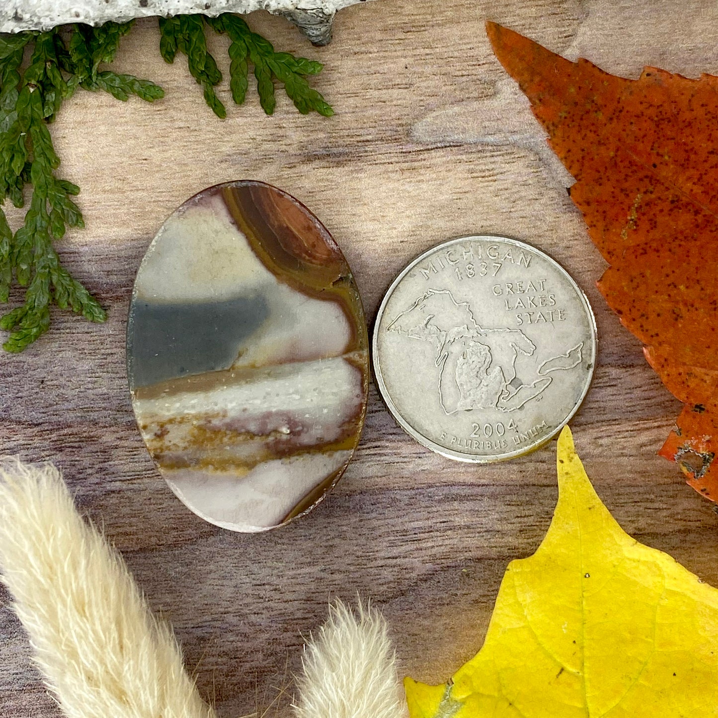 Polychrome Jasper Cabochon Back View - Stone Treasures by the Lake