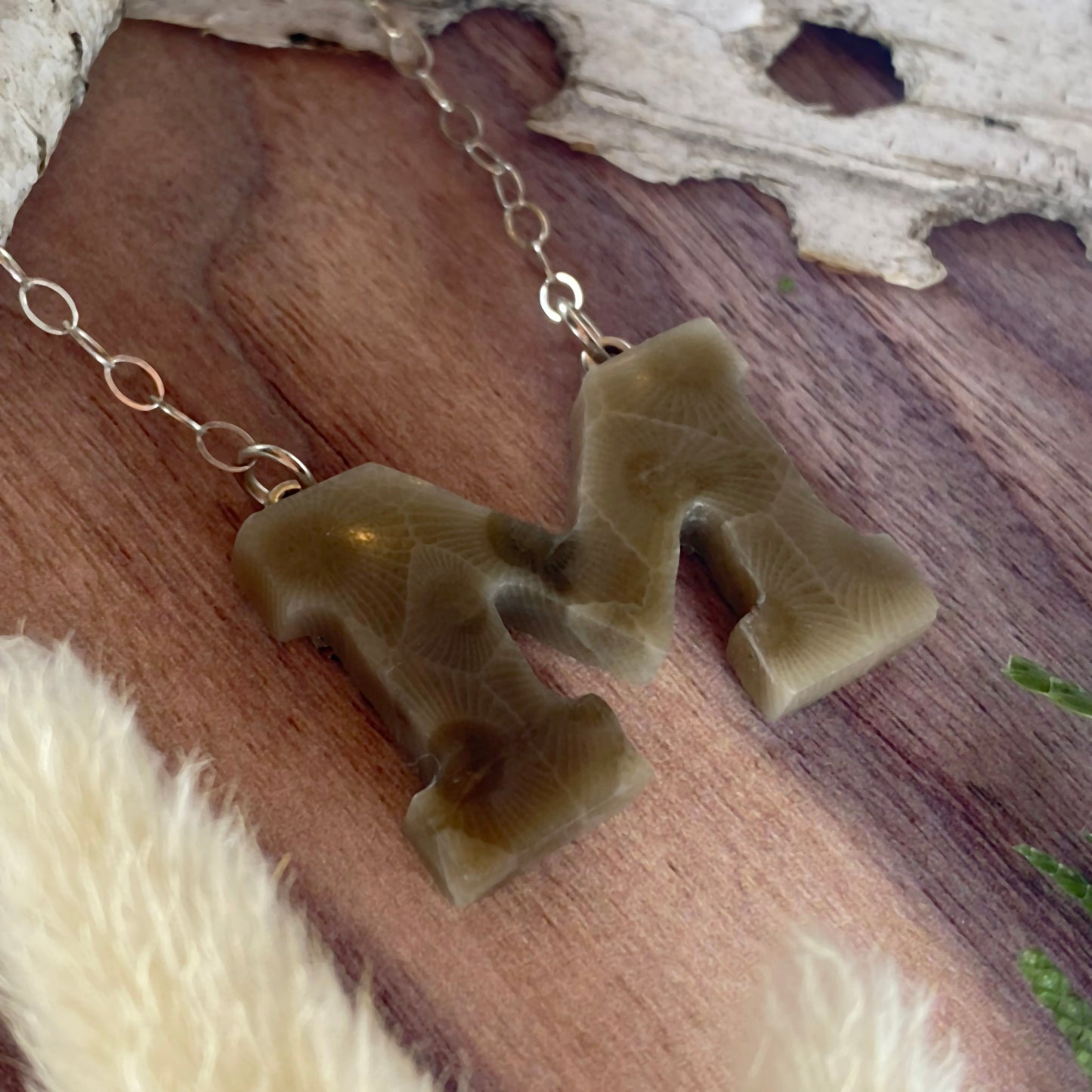 Michigan Petoskey Stone Pendant Necklace Front View II - Stone Treasures by the Lake
