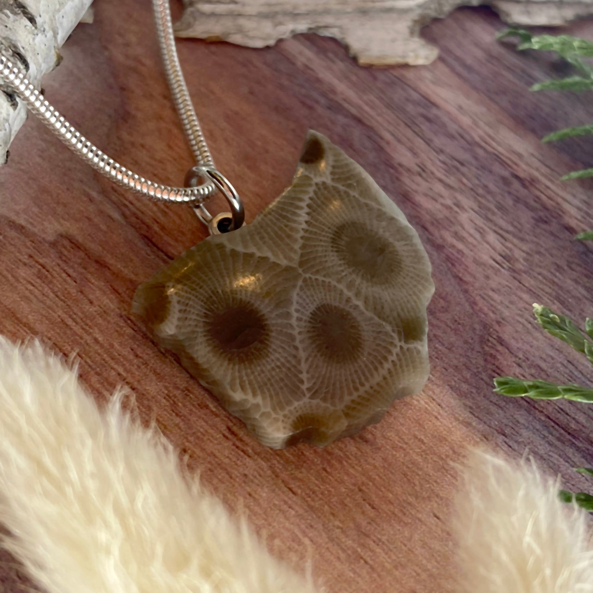 Ohio Petoskey Stone Pendant Necklace Front View II - Stone Treasures by the Lake