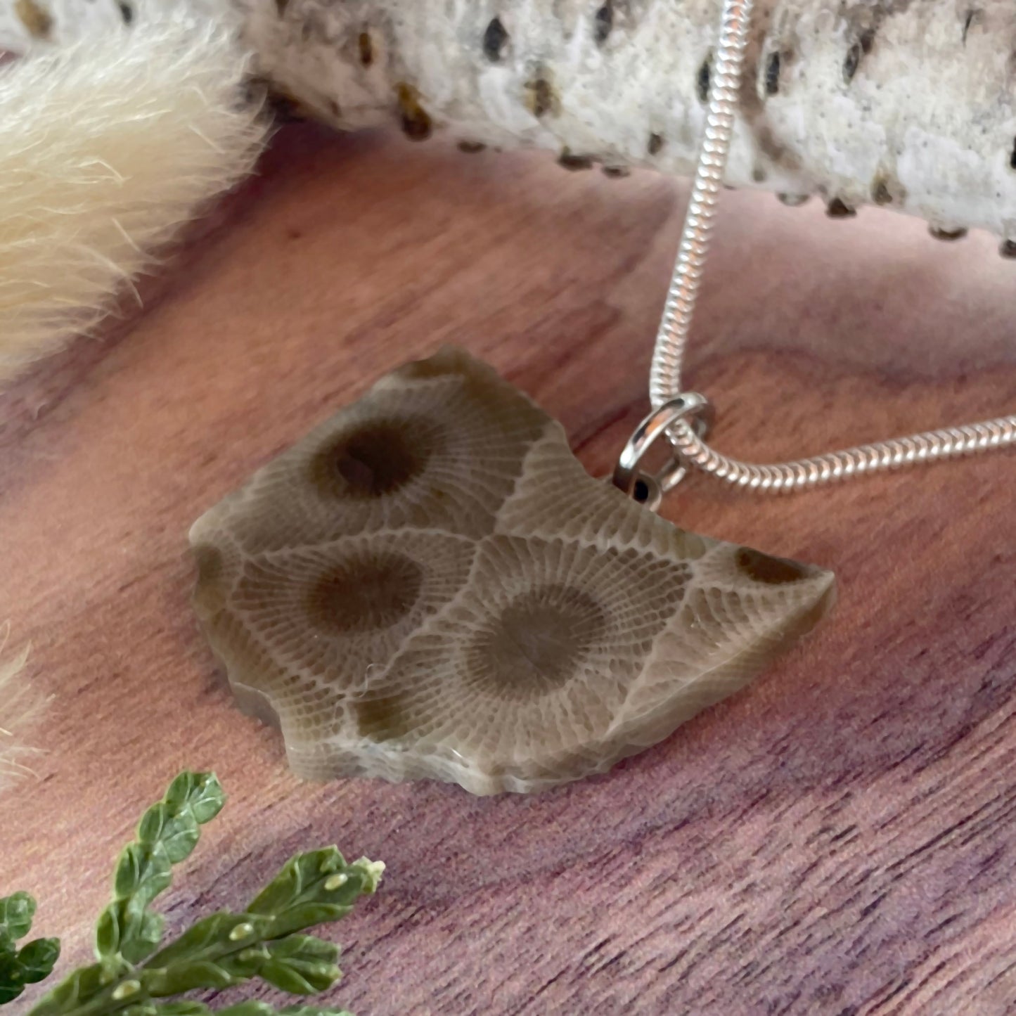 Ohio Petoskey Stone Pendant Necklace Front View III - Stone Treasures by the Lake