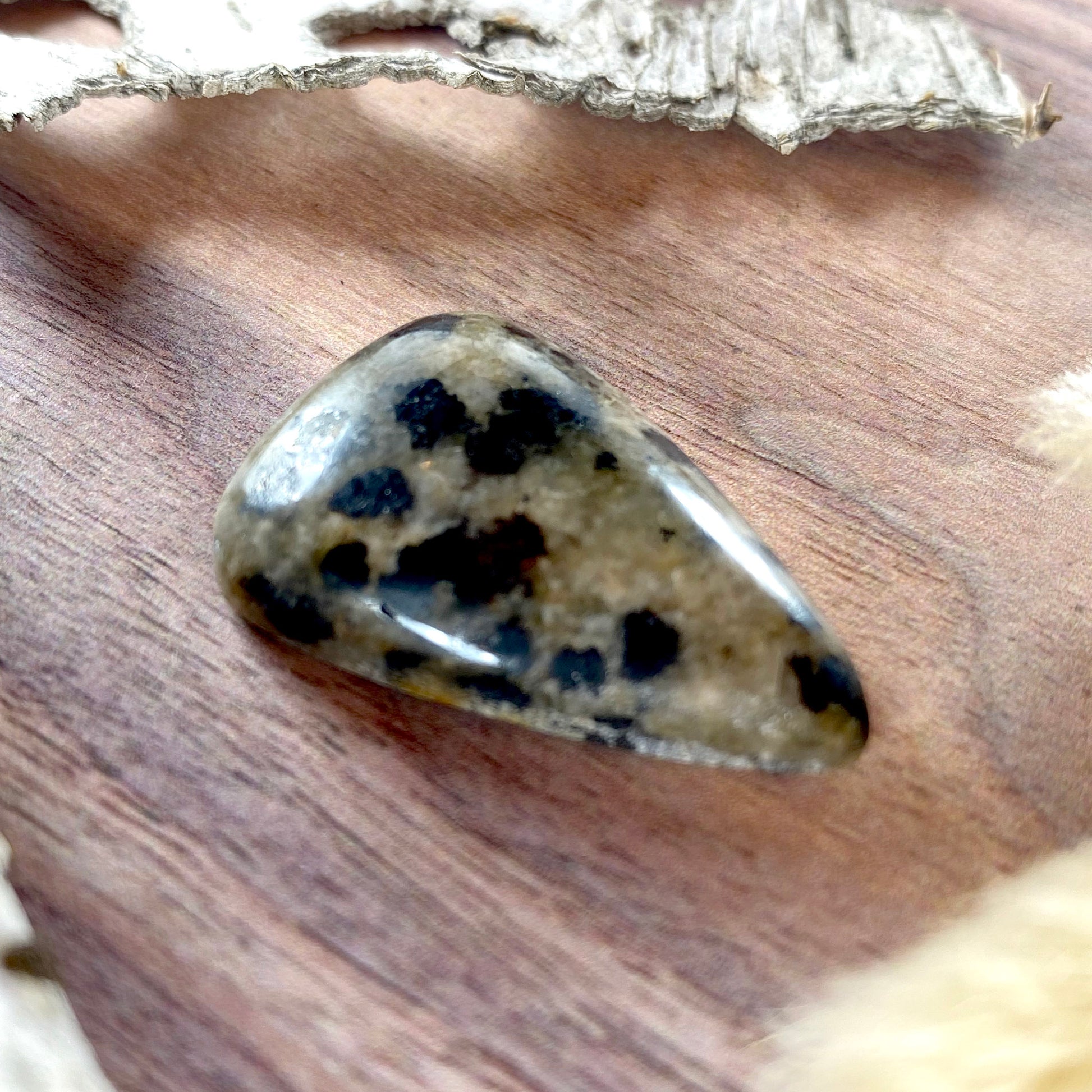 Dalmatian Stone Cabochon Front View II - Stone Treasures by the Lake