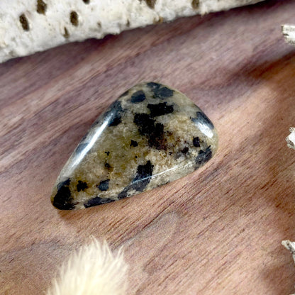 Dalmatian Stone Cabochon Front View III - Stone Treasures by the Lake