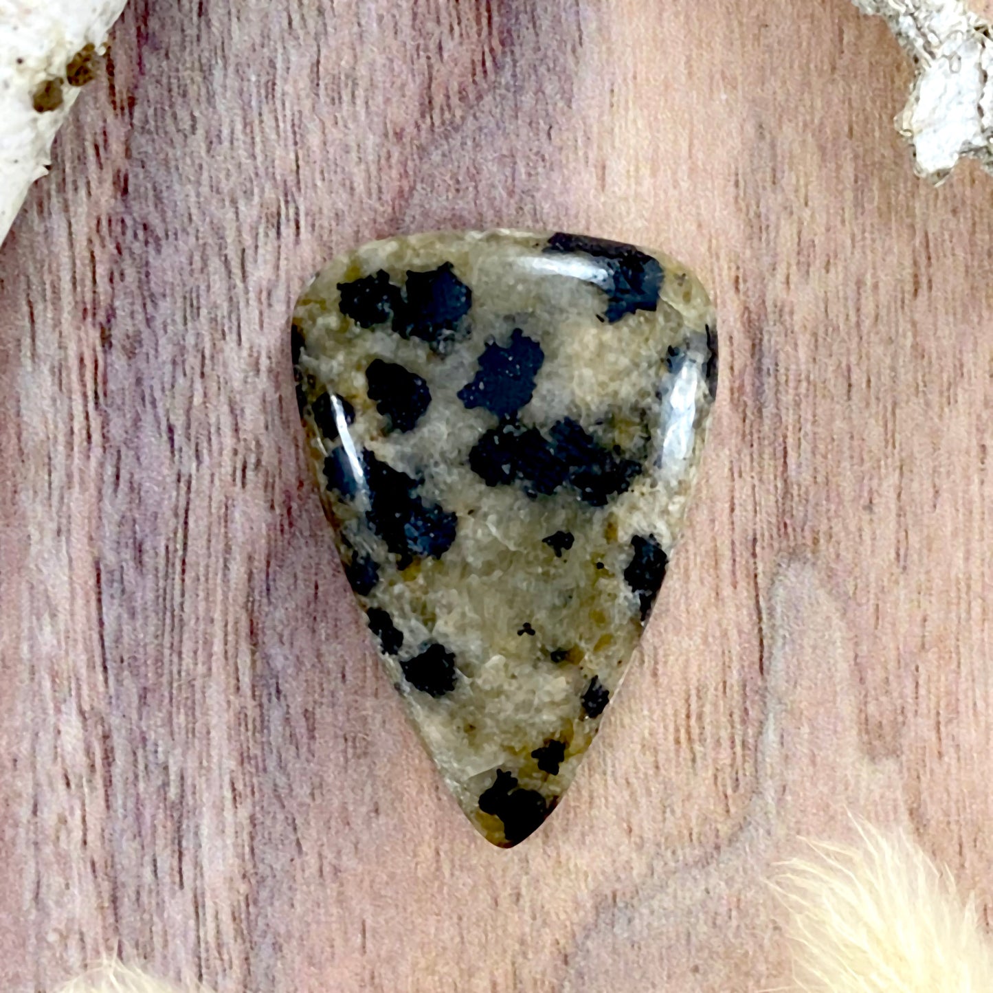 Dalmatian Stone Cabochon Front View - Stone Treasures by the Lake