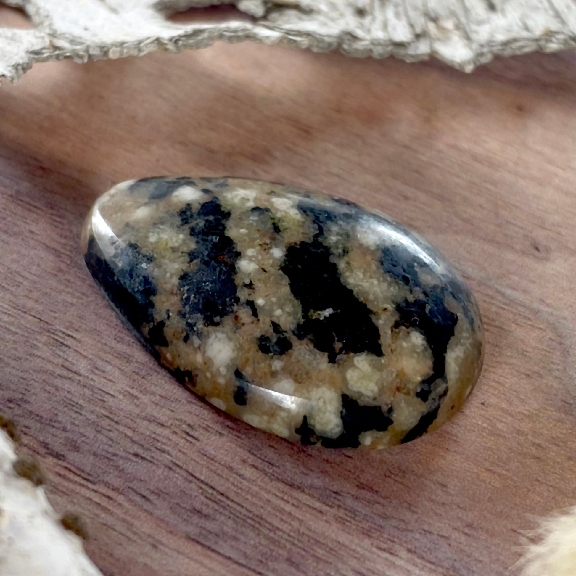 Granite Cabochon Front View II - Stone Treasures by the Lake