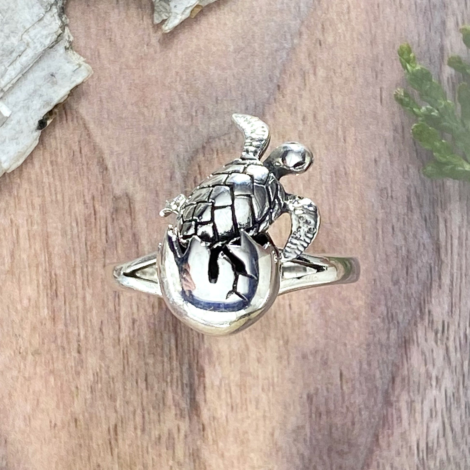 Sterling Silver Hatching Turtle Ring Front View - Stone Treasures by the Lake
